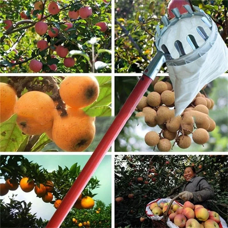 Bonsai Garden Tree - Farm Fruit Picker Garden Orchard Peach