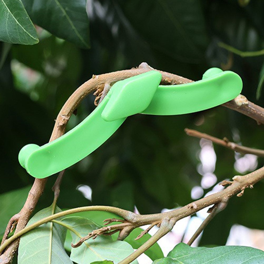 5Pcs Bonsai Branch Stabilizer  - đánh giá và giá Bonsai Garden Tree