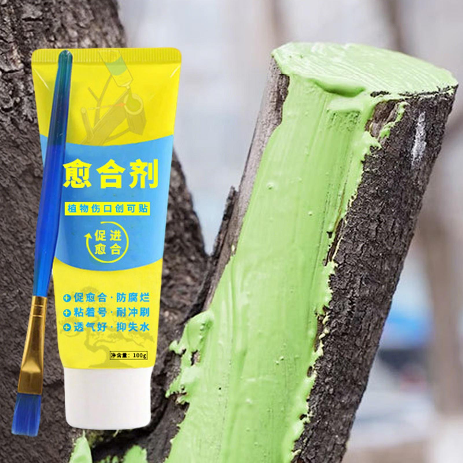 Plant Pruning Sealer Agent Pla - đánh giá và giá Bonsai Garden Tree