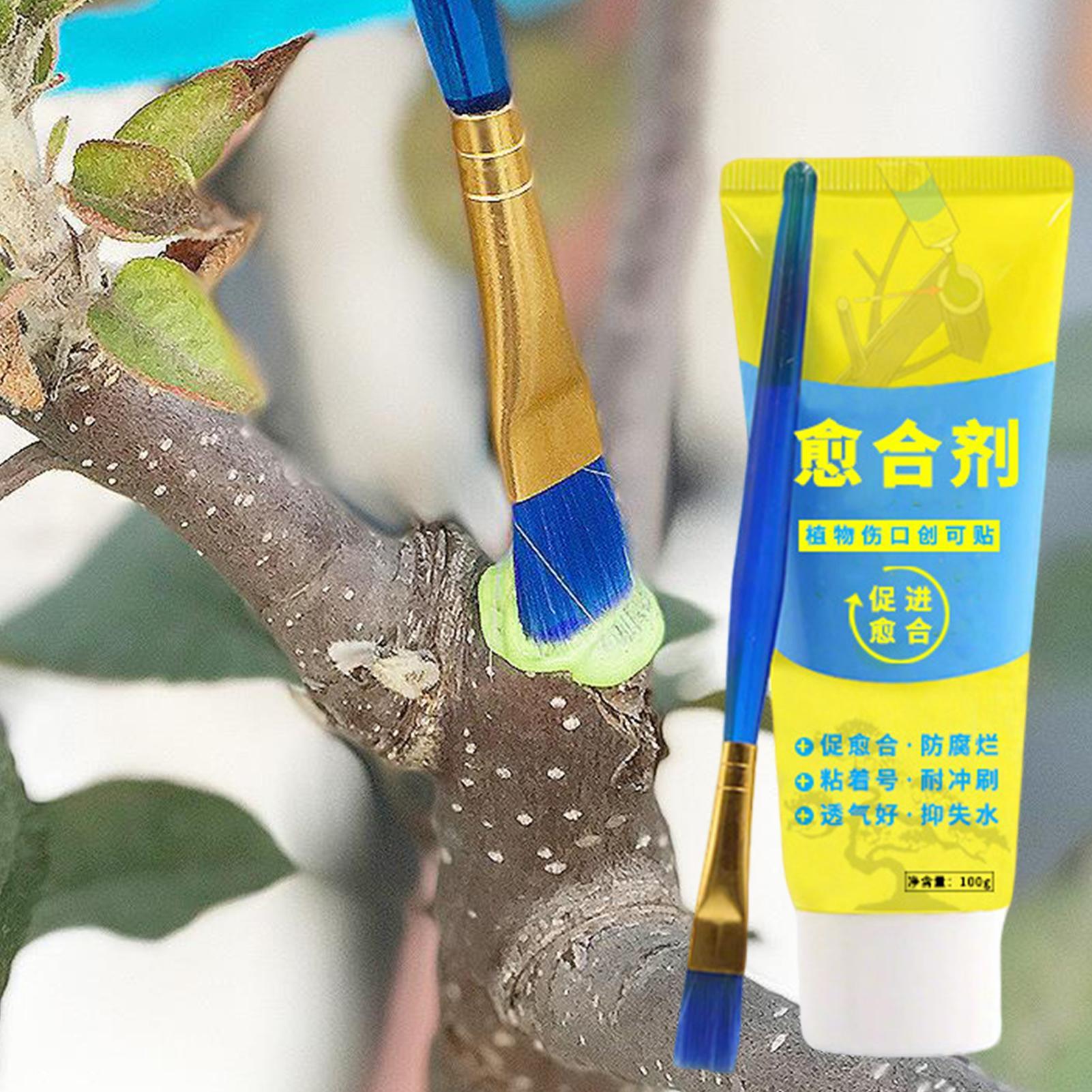 Plant Pruning Sealer Agent Pla - đánh giá và giá Bonsai Garden Tree
