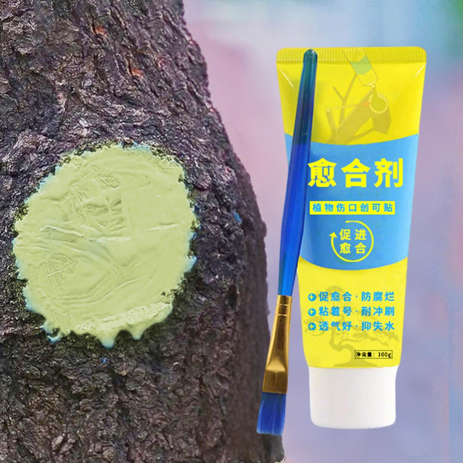 Plant Pruning Sealer Agent Pla - đánh giá và giá Bonsai Garden Tree