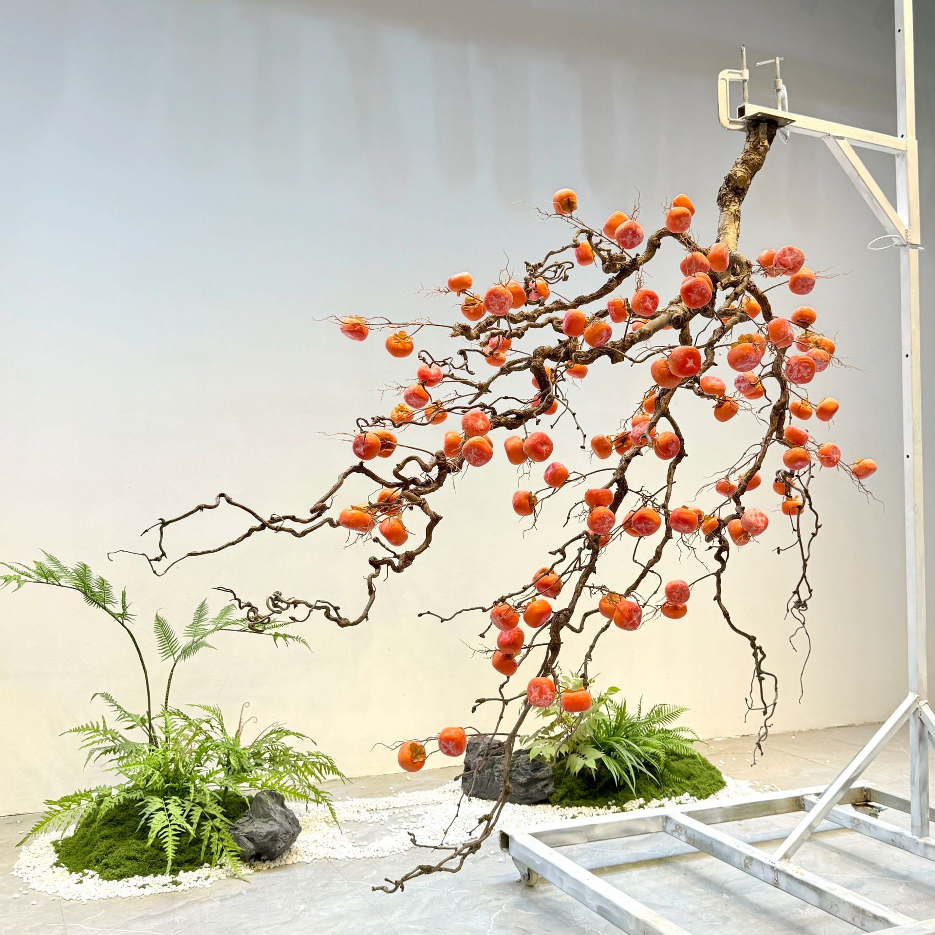 Simulated persimmon tree hangi - đánh giá và giá Bonsai Garden Wall