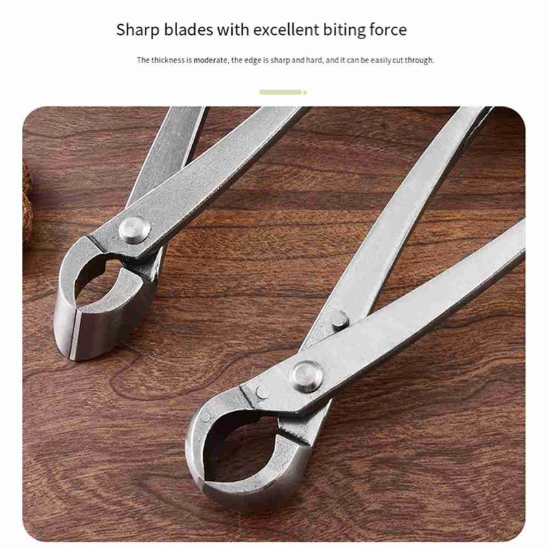 ABAE-Bonsai Tree Tools, 4 Piec - đánh giá và giá Root Hook Tool