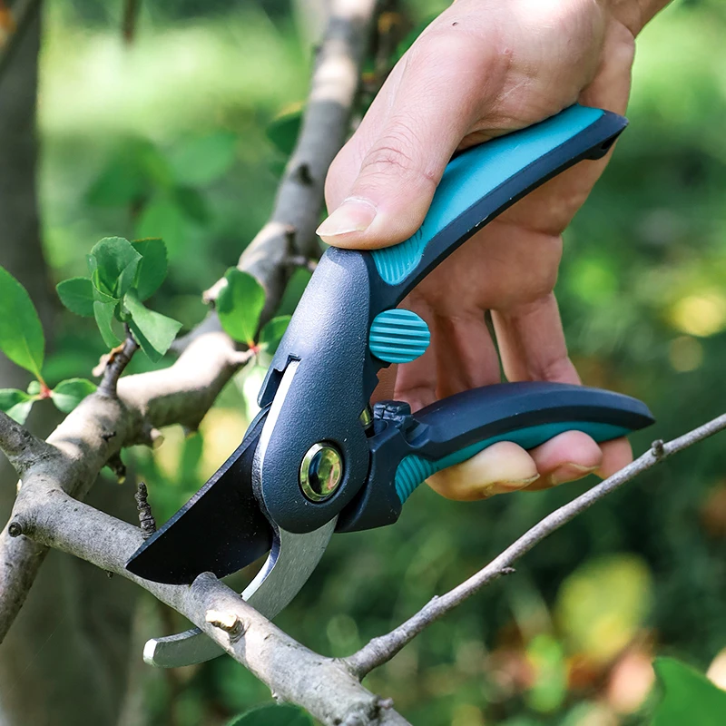Pruning fruit trees, scissors, - đánh giá và giá Bonsai Garden Tree
