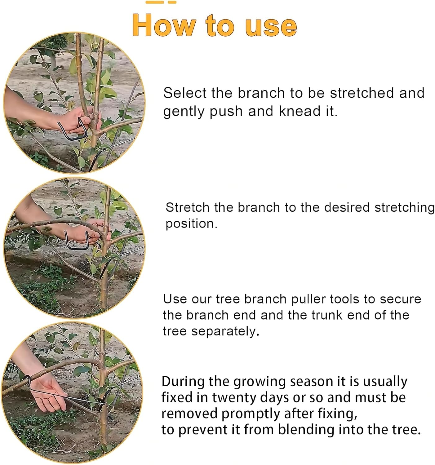 Adjustable Fruit Tree Branch S - đánh giá và giá Bonsai Garden Tree