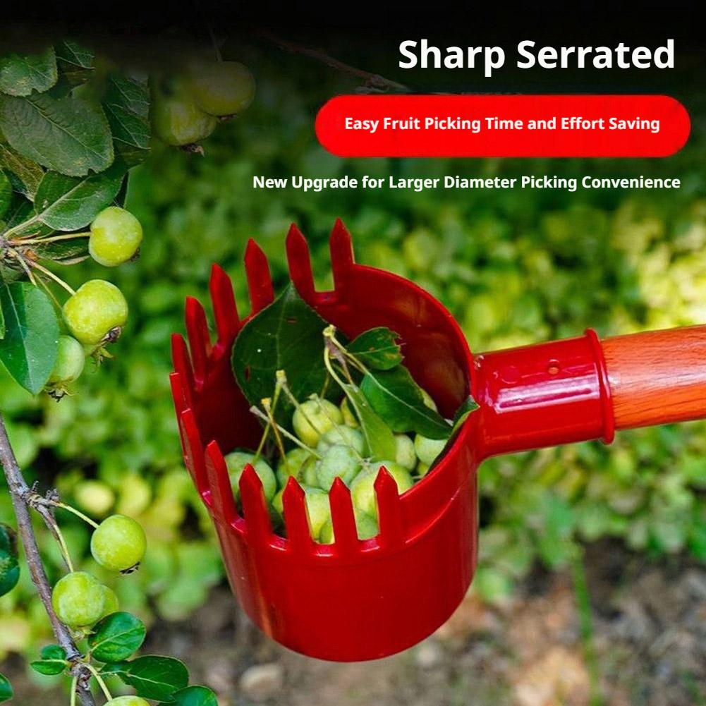 Fruit Picker Tool Portable Bas - đánh giá và giá Bonsai Garden Tree