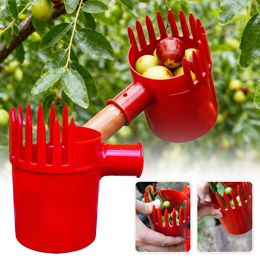 Fruit Picker Tool Portable Bas - đánh giá và giá Bonsai Garden Tree