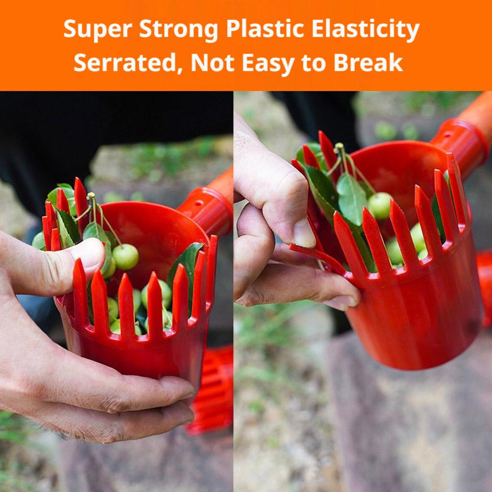 Fruit Picker Tool Portable Bas - đánh giá và giá Bonsai Garden Tree