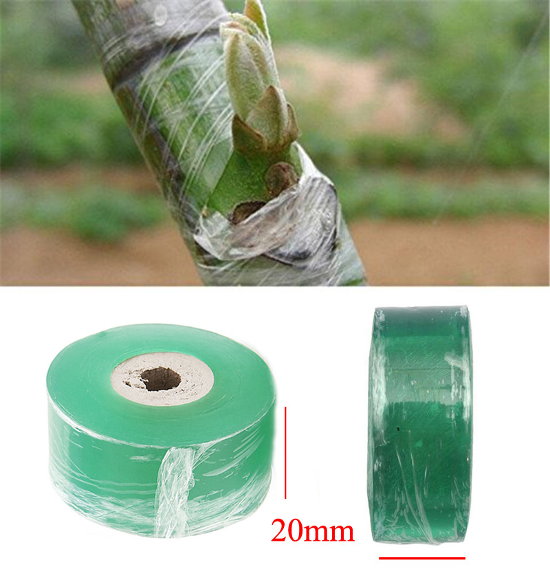 Roll Grafting Tape Garden Tool - đánh giá và giá Bonsai Garden Tree