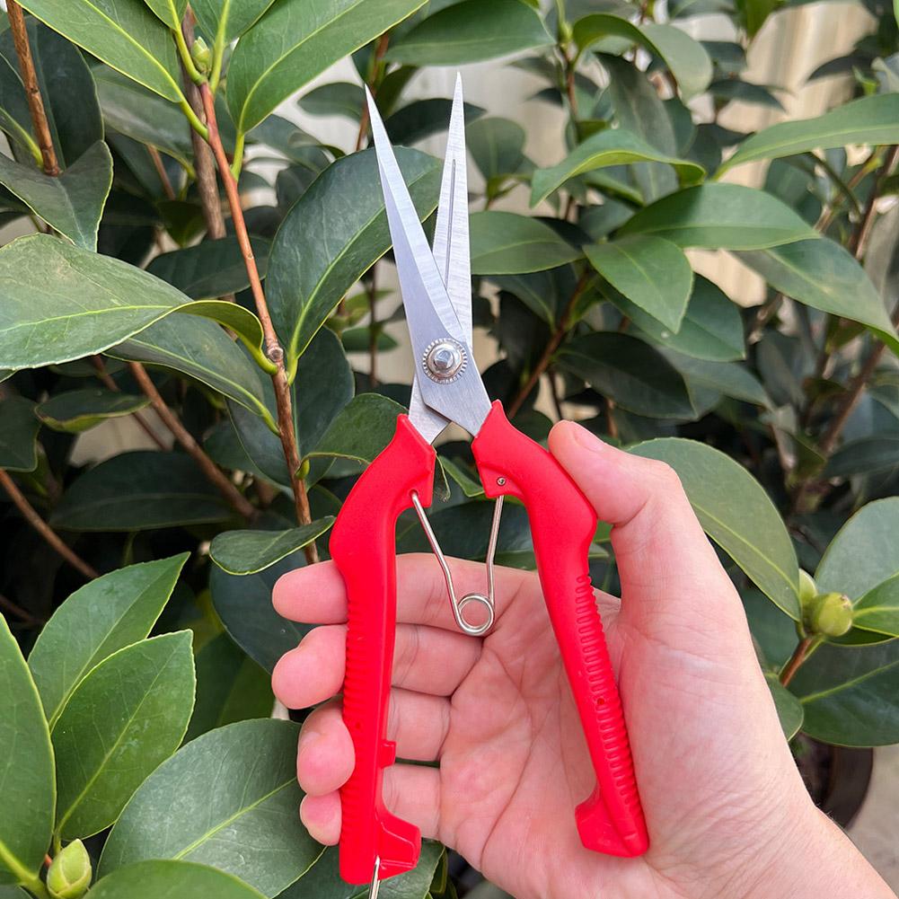 Pro Garden Pruning Shears Leng - đánh giá và giá Bonsai Garden Tree