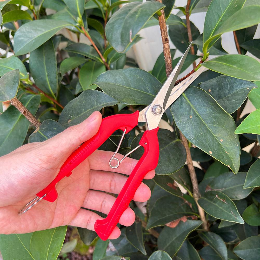 Pro Garden Pruning Shears Leng - đánh giá và giá Bonsai Garden Tree