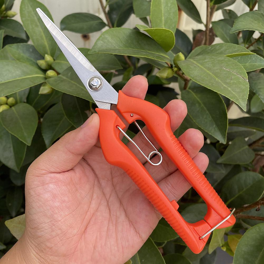 Pro Garden Pruning Shears Leng - đánh giá và giá Bonsai Garden Tree