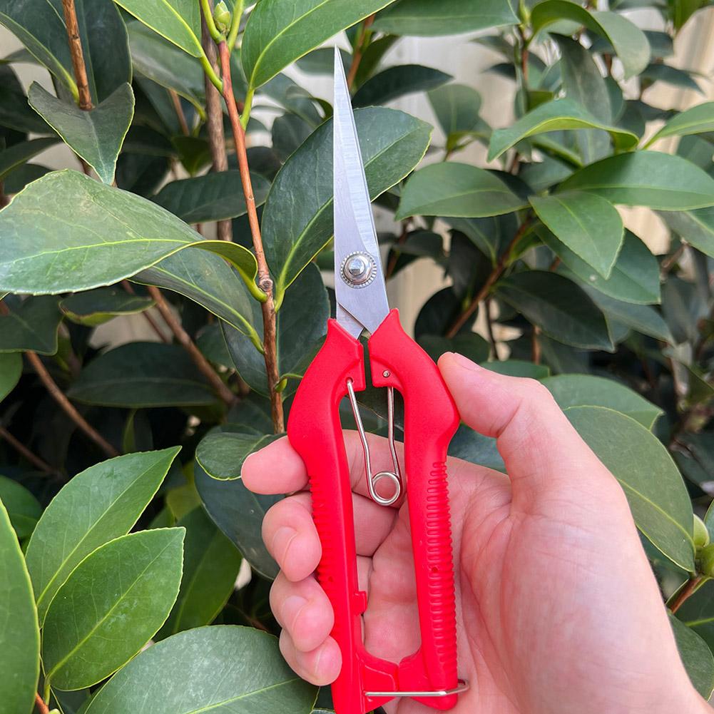 Pro Garden Pruning Shears Leng - đánh giá và giá Bonsai Garden Tree