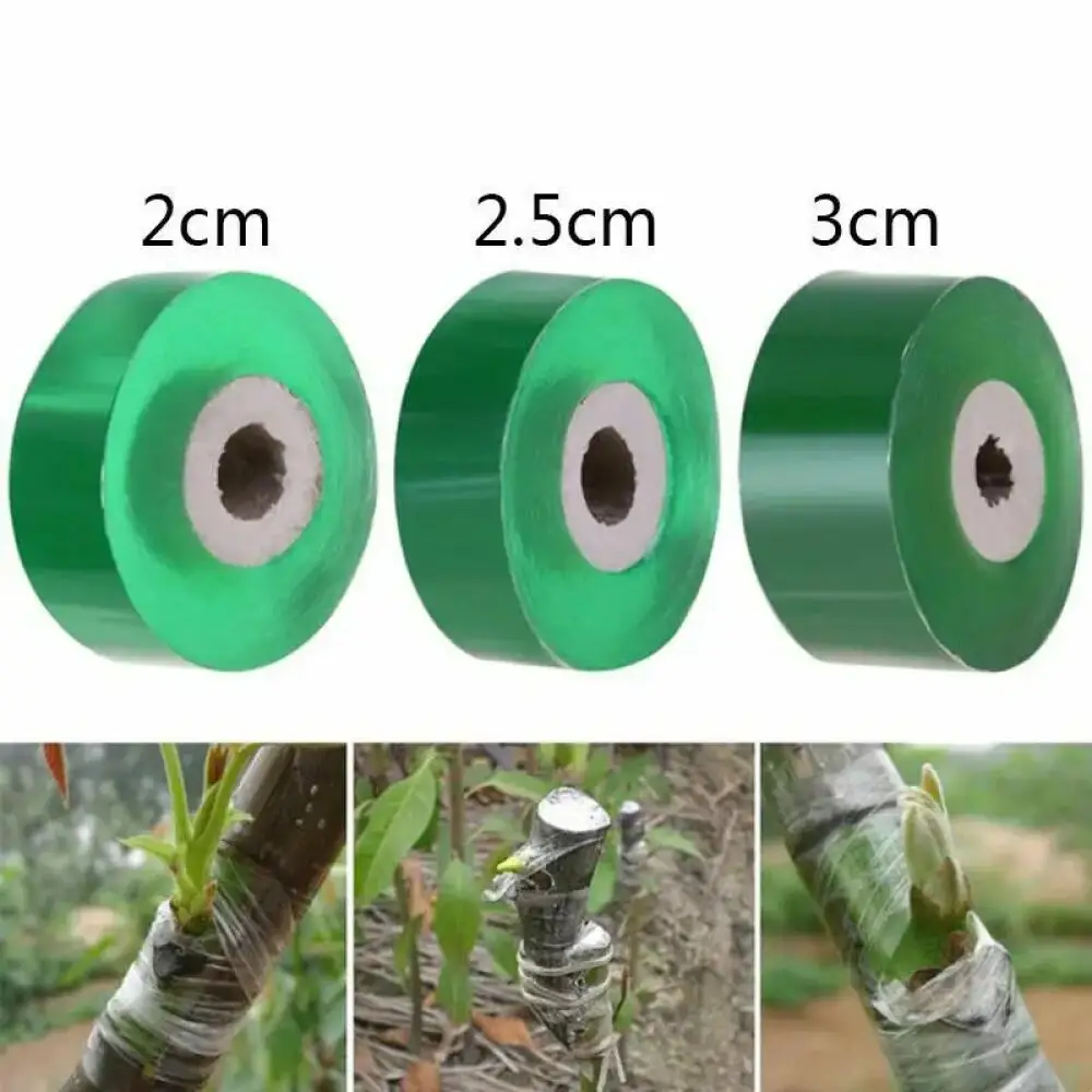 1 Roll 2-3cm Self-Adhesive Gra - đánh giá và giá Bonsai Garden Tree