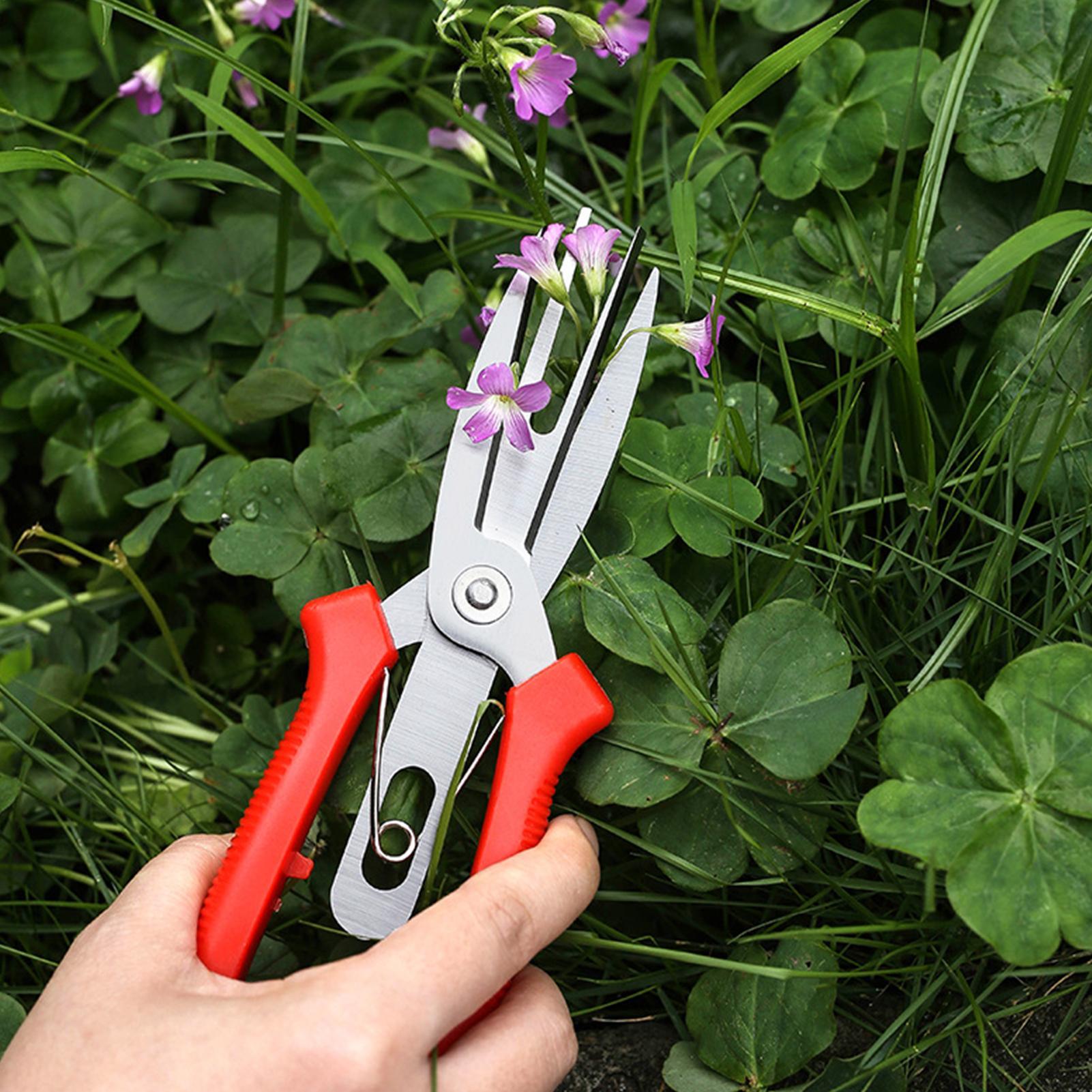 Garden Shears Stainless Steel  - đánh giá và giá Bonsai Garden Tree